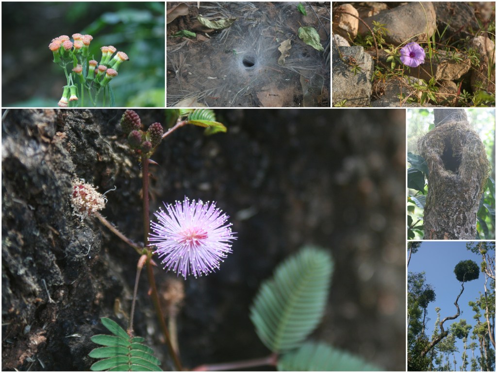 Surrounded by unspoilt nature at Balur.