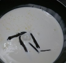 PannaCotta_VanillaPod