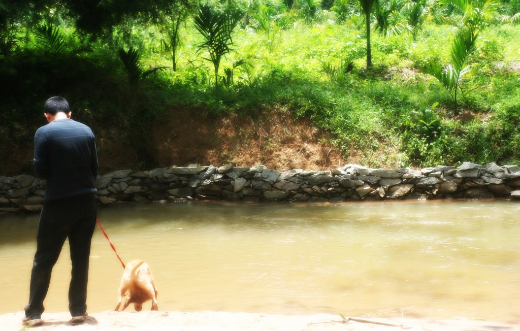 River, Harley Estate