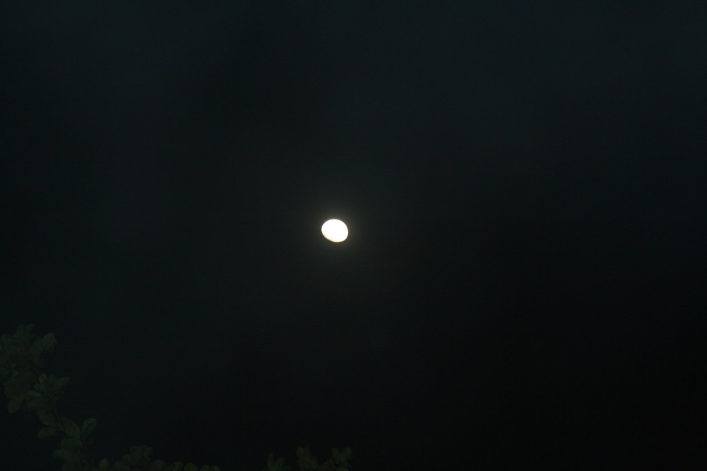 Moonlit night, Harley Estate