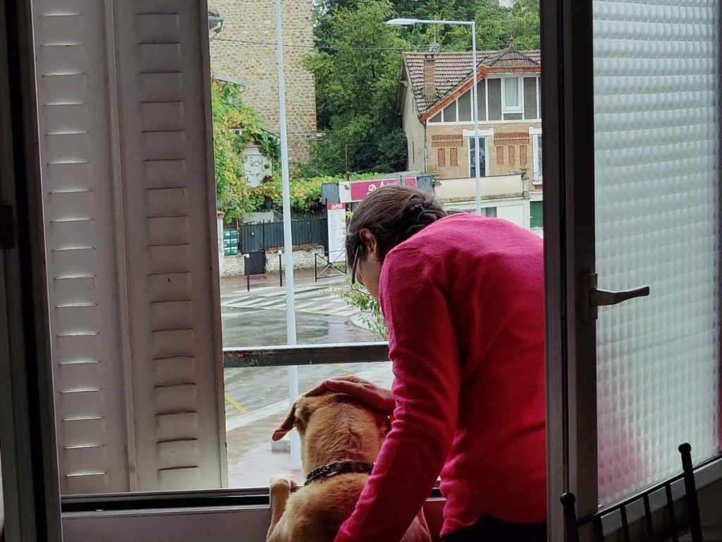 Lessons in Agility from&nbsp;Arya