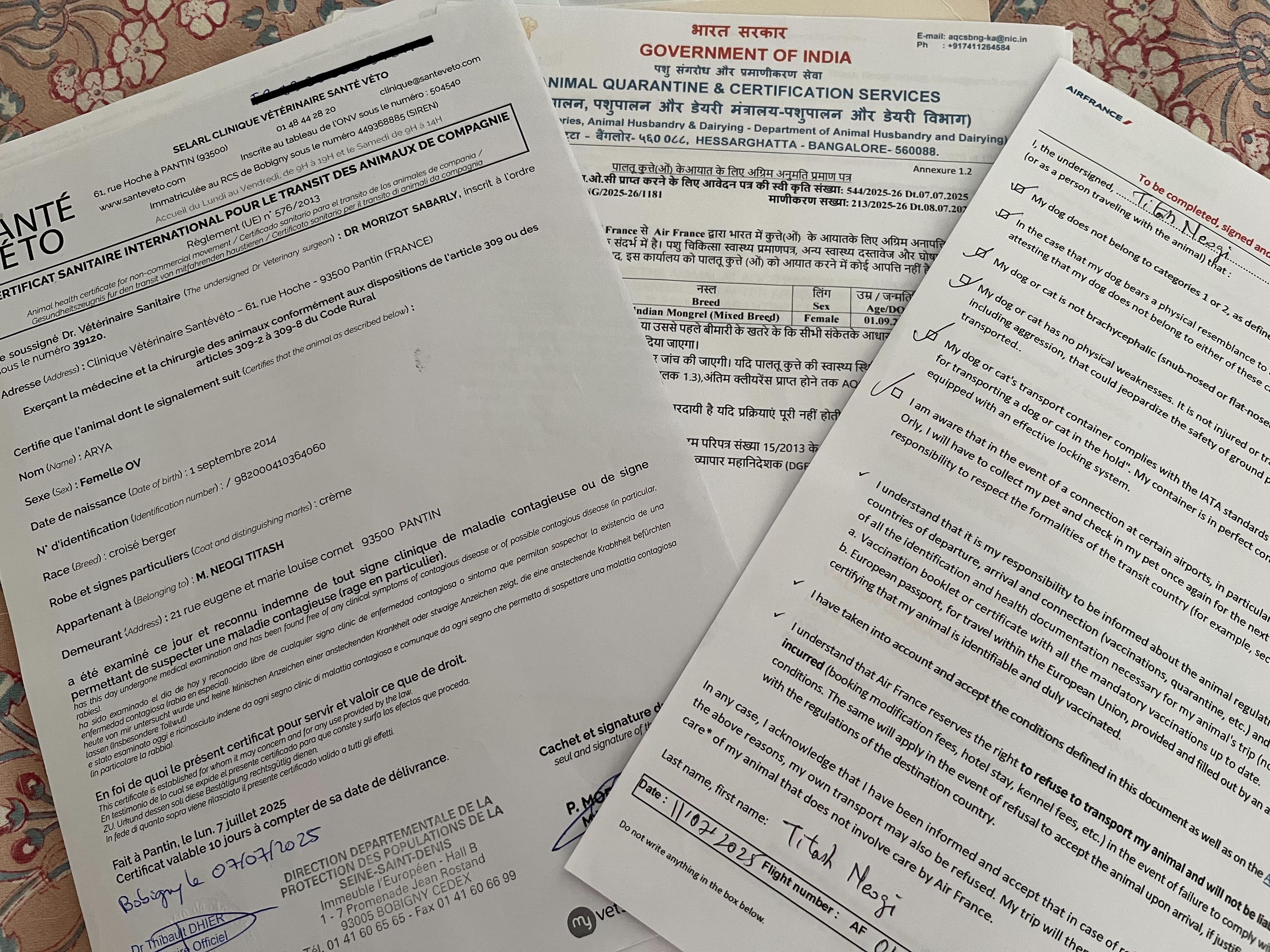 The Long Road Home 🐾 – PlainGeets